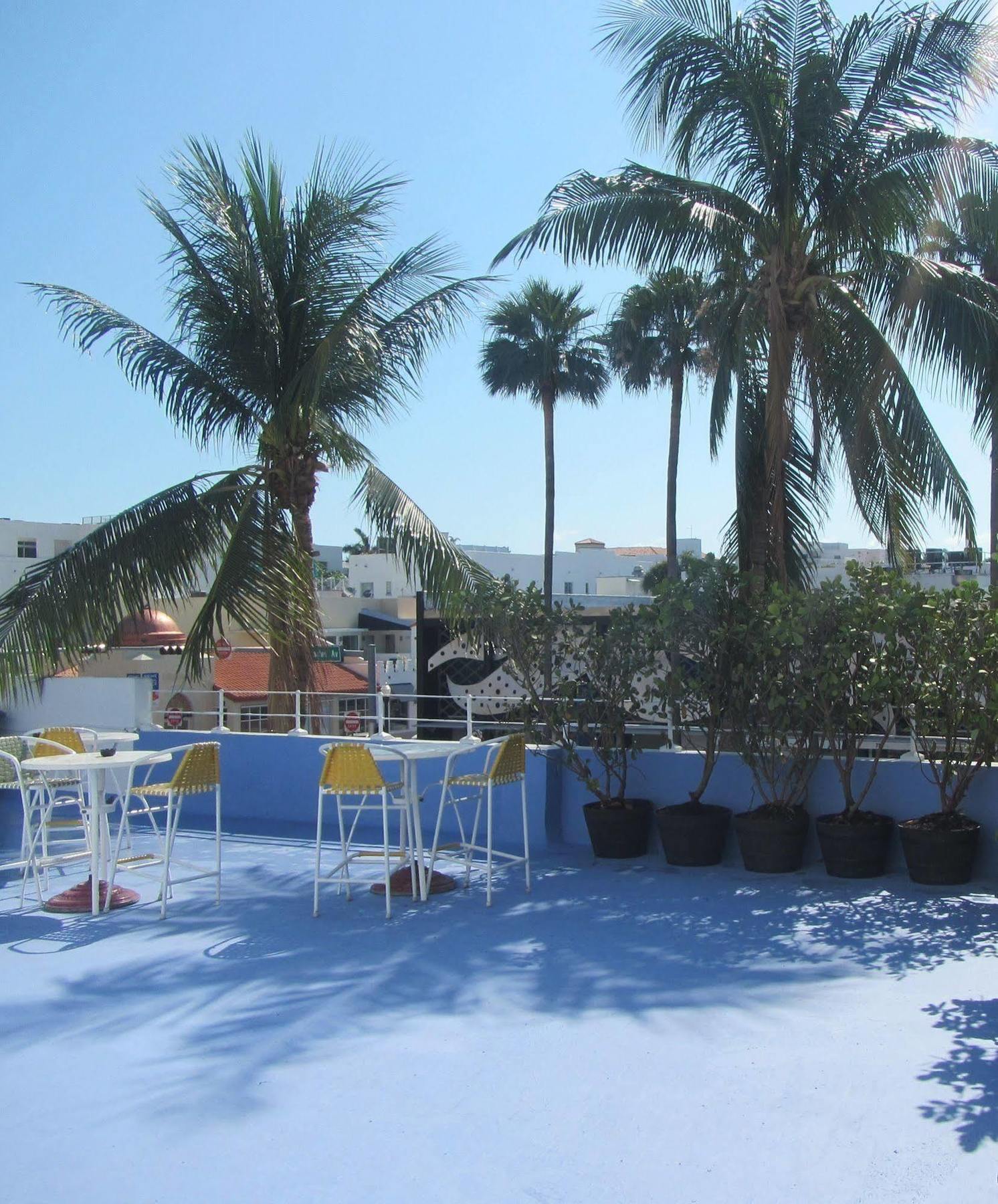 Royal Hotel South Beach Miami Beach Ngoại thất bức ảnh